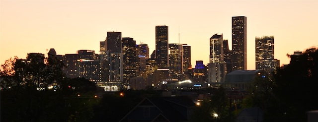 3804 Lovejoy St, Houston, TX 77003 - view of city