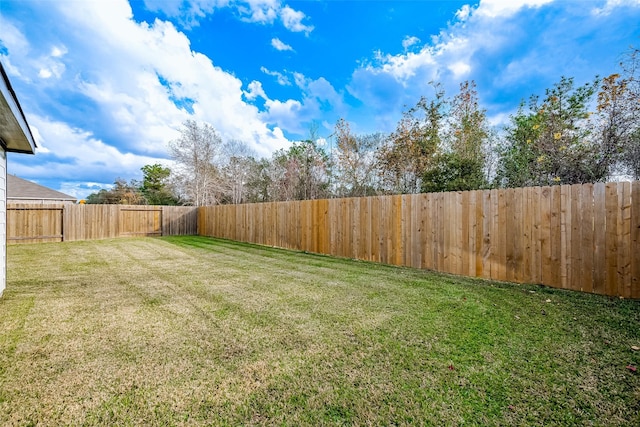 26234 Cooperstown Way, Splendora, TX 77372 - view of yard with a fenced backyard