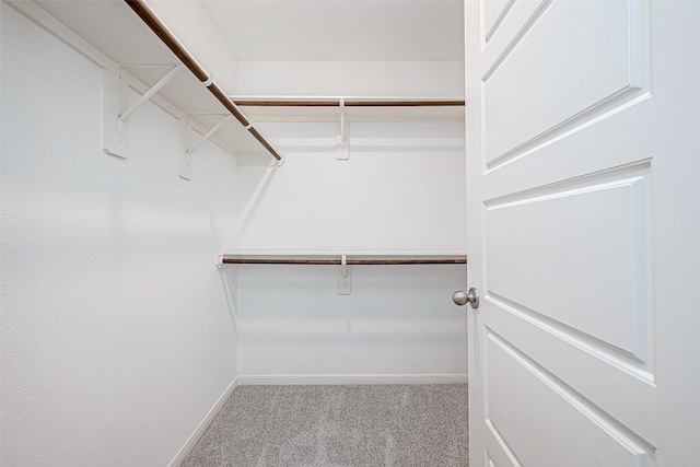 26234 Cooperstown Way, Splendora, TX 77372 - walk in closet featuring carpet flooring