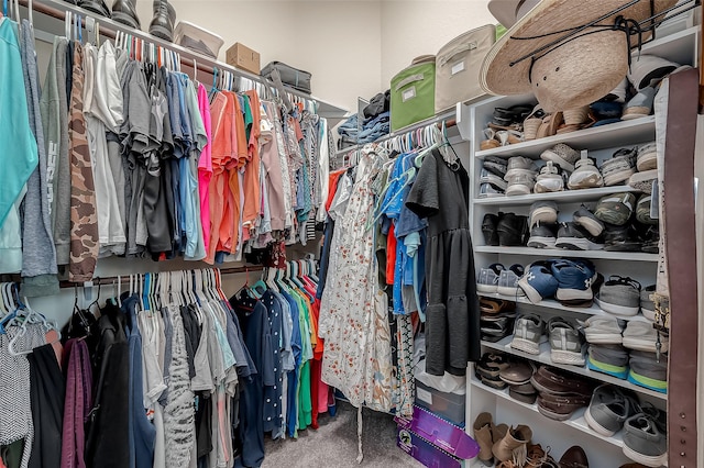 spacious closet with carpet flooring