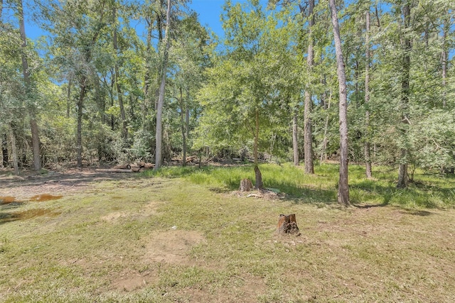 view of yard featuring a forest view