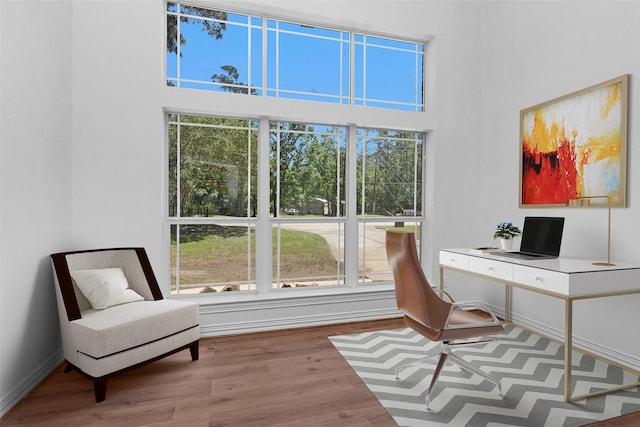 9019 Miller Rd, Magnolia, TX 77354 - office space with healthy amount of natural light, wood finished floors, baseboards, and a high ceiling