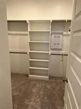 view of walk in closet