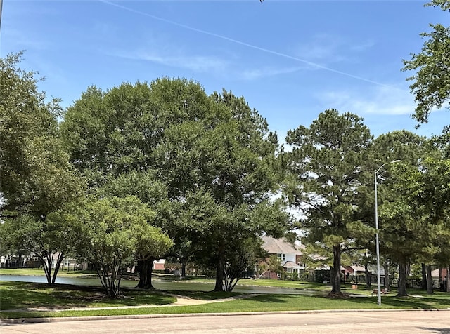 3510 S Lake Village Dr, Katy, TX 77450 - view of home's community featuring a yard
