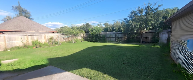 7619 Apache Plume Dr, Houston, TX 77071 - view of yard