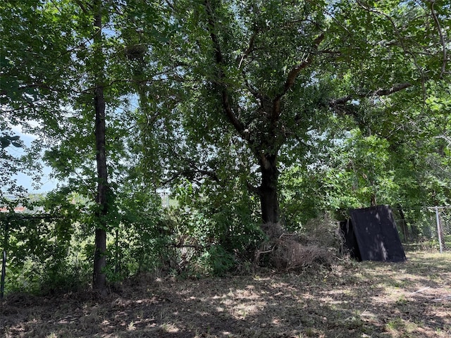 1130 Hoffman St, Houston, TX 77020 - view of nature