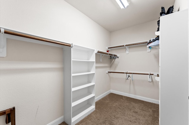 walk in closet with carpet