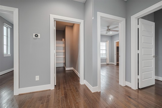 4318 E Center St, Houston, TX 77007 - hallway featuring dark wood-type flooring and baseboards