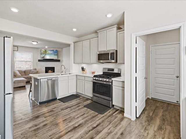 kitchen featuring a sink, light countertops, stainless steel appliances, open floor plan, and dark wood-style floors