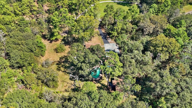 302 Tall Pines Dr, Magnolia, TX 77354 - bird's eye view