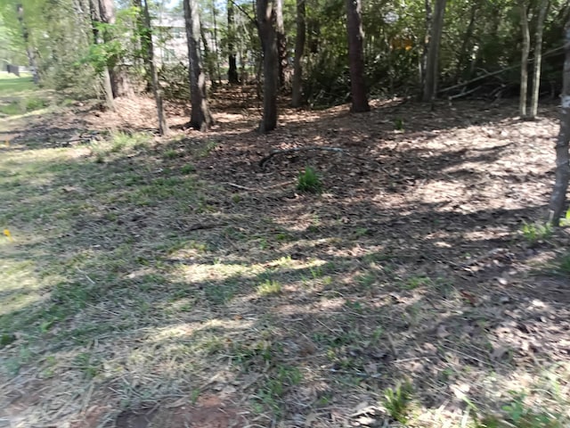 1008 White River Rd, Conroe, TX 77316 - photo 1