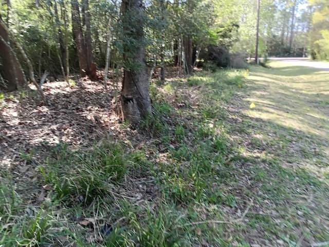 1008 White River Rd, Conroe, TX 77316 - photo 2