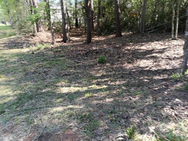 1008 White River Rd, Conroe, TX 77316 - photo 3