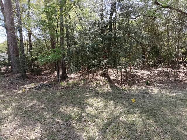 1008 White River Rd, Conroe, TX 77316 - photo 4