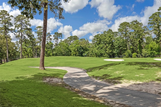 11 Twin Greens Ct, Houston, TX 77339 - view of community with a yard and golf course view