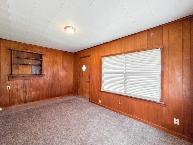 6710 County Road 203, Liverpool, TX 77577 - unfurnished room with wood walls and carpet flooring