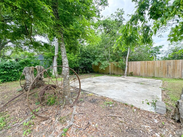 6710 County Road 203, Liverpool, TX 77577 - view of yard featuring a fenced backyard and a patio