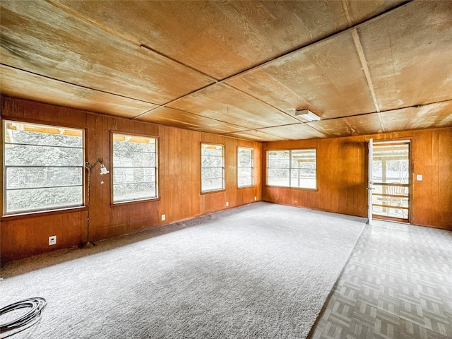 6710 County Road 203, Liverpool, TX 77577 - empty room with wood walls and baseboards