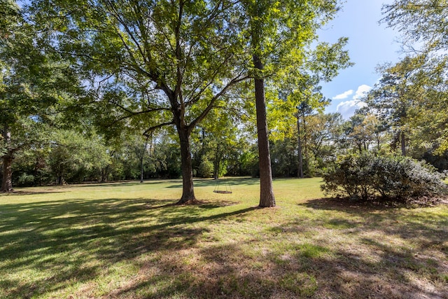 20111 Hilltop Ranch Dr, Montgomery, TX 77316 - view of yard