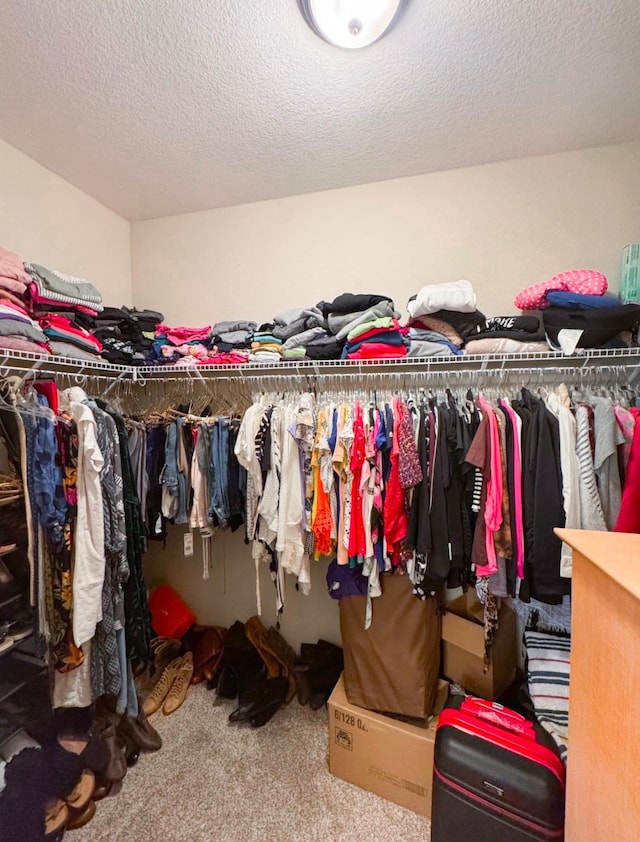 spacious closet featuring carpet flooring