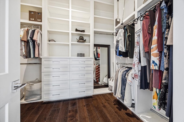 308 Willard, Houston, TX 77006 - spacious closet with dark wood-style flooring