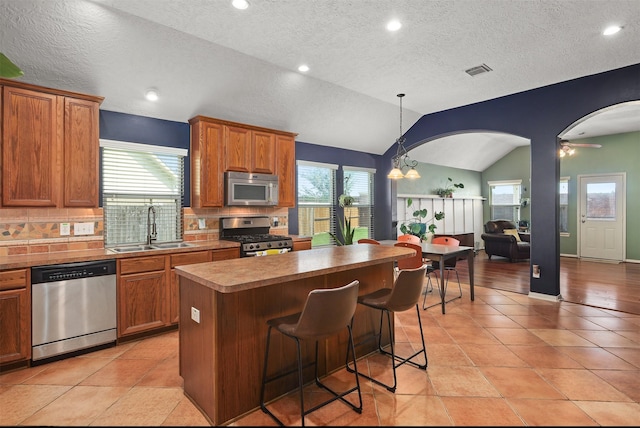 4407 Iron Creek Ct, Fresno, TX 77545 - kitchen with stainless steel appliances, a sink, plenty of natural light, lofted ceiling, and a textured ceiling