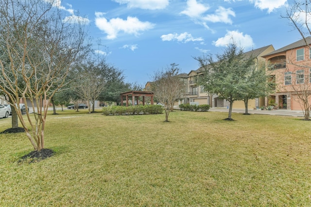 11002 Upland Forest Dr, Houston, TX 77043 - view of yard