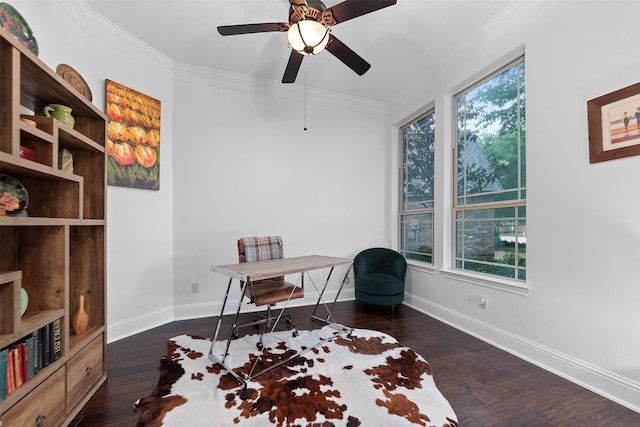 office area featuring crown molding, baseboards, ceiling fan, and dark wood-style floors