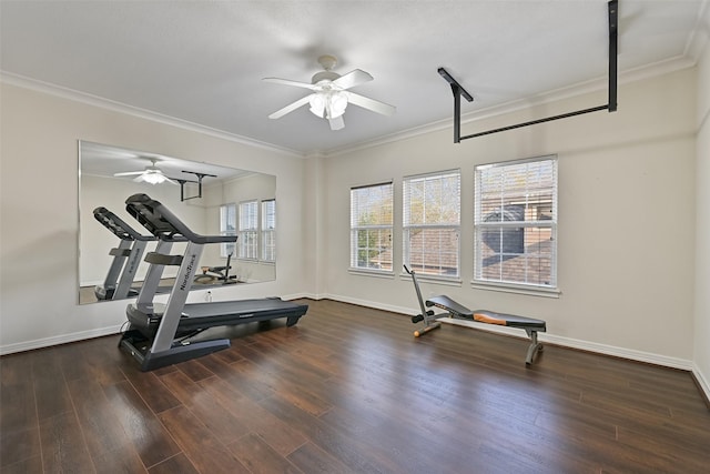 exercise area with ceiling fan, ornamental molding, baseboards, and wood finished floors