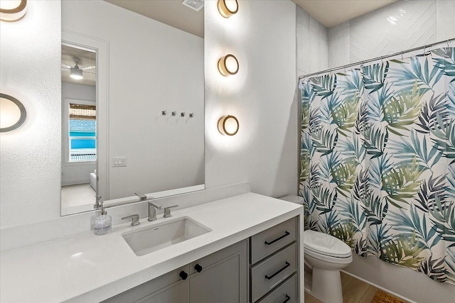 bathroom featuring toilet, vanity, and a shower with curtain