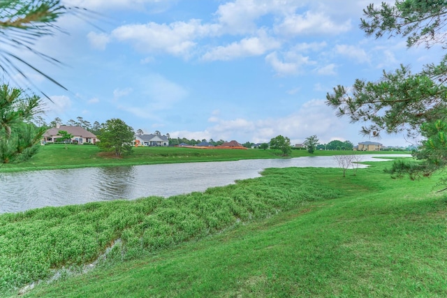 18787 Serene Water Dr, Montgomery, TX 77356 - view of water feature