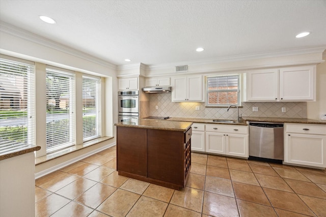 1415 Stependale Dr, Katy, TX 77450 - kitchen with a sink, plenty of natural light, under cabinet range hood, appliances with stainless steel finishes, and tasteful backsplash