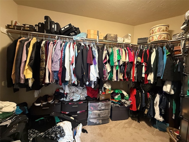 spacious closet with carpet