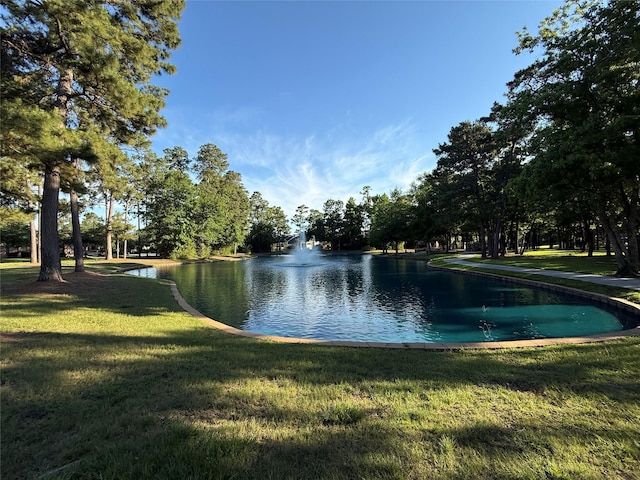 property view of water
