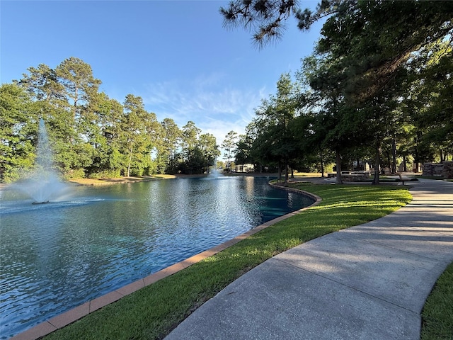 view of water feature