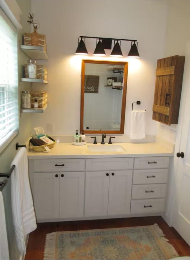 bathroom with vanity and wood finished floors