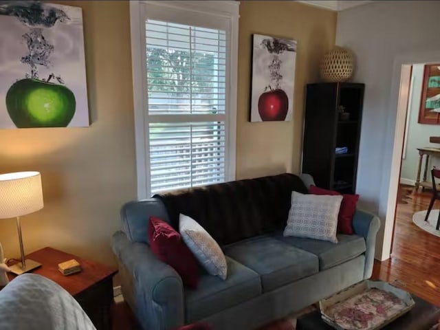 living room featuring plenty of natural light, wood finished floors, and baseboards