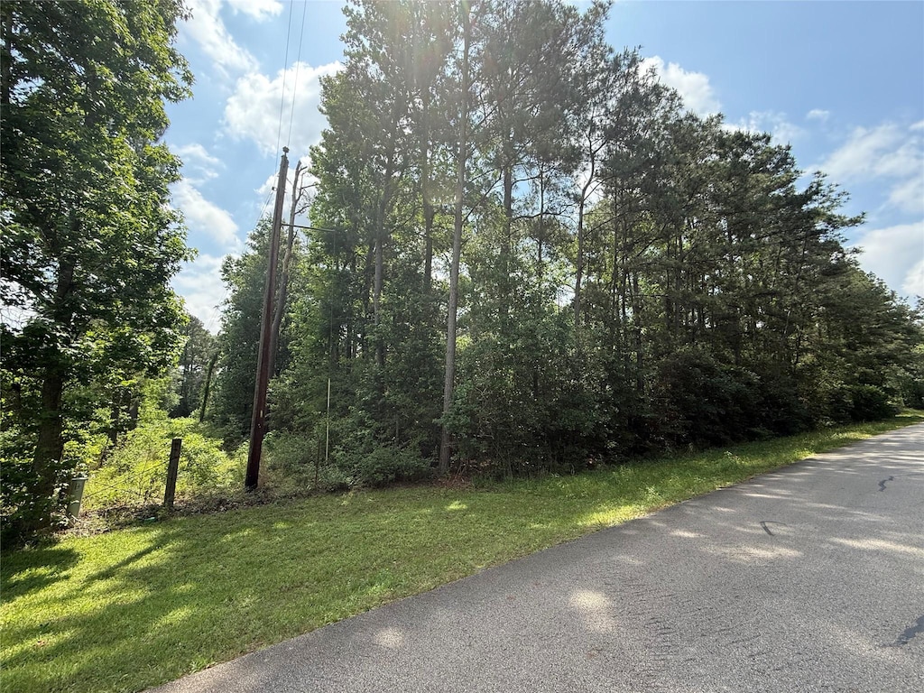 TBD Todd Rd, Magnolia, TX 77355 - photo 1