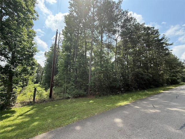 TBD Todd Rd, Magnolia, TX 77355 - photo 1