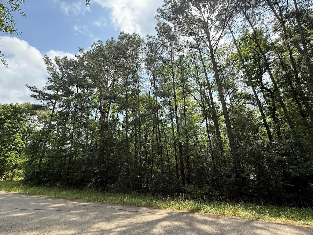 TBD Todd Rd, Magnolia, TX 77355 - photo 2