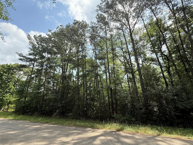 TBD Todd Rd, Magnolia, TX 77355 - photo 2