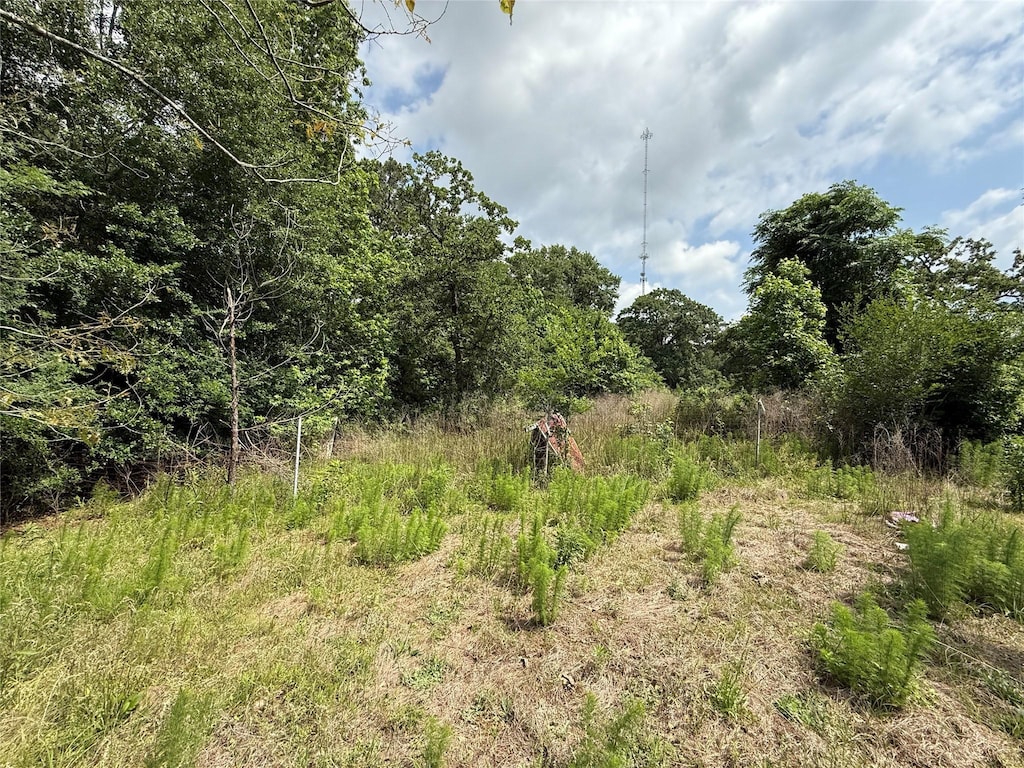 TBD Todd Rd, Magnolia, TX 77355 - photo 4