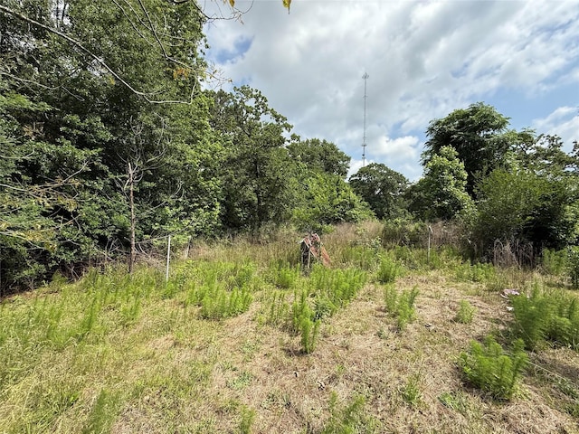 TBD Todd Rd, Magnolia, TX 77355 - photo 4