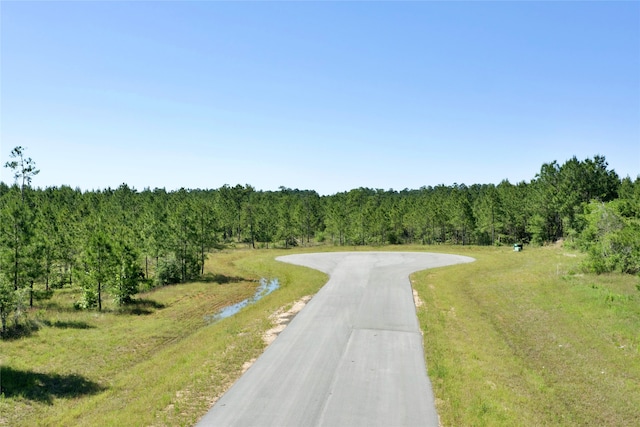 15765 Grey Hawk Ln, Willis, TX 77378