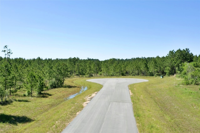 15765 Grey Hawk Ln, Willis, TX 77378