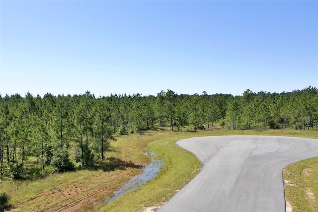 15765 Grey Hawk Ln, Willis, TX 77378