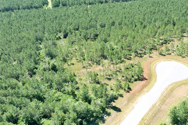 15765 Grey Hawk Ln, Willis, TX 77378