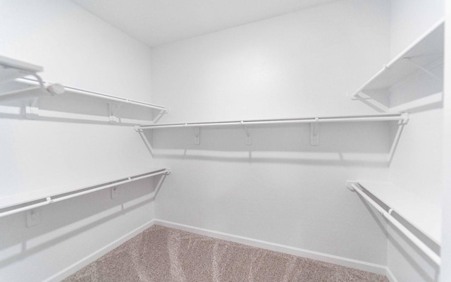 21215 Brook Tide Ln, Cypress, TX 77433 - spacious closet with carpet floors