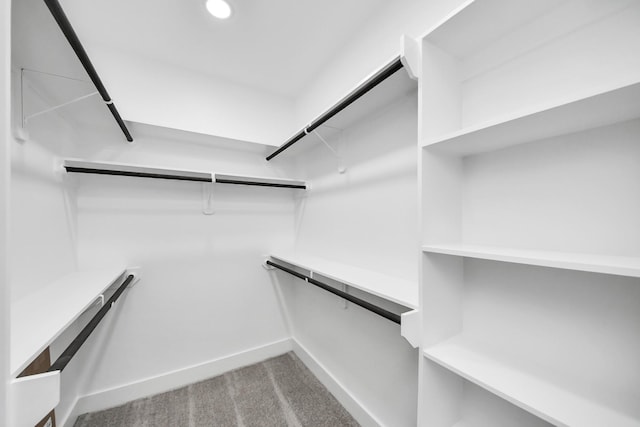 walk in closet featuring carpet flooring