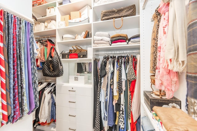 view of spacious closet